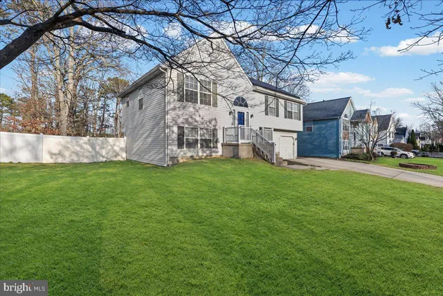 a garden view with tall trees