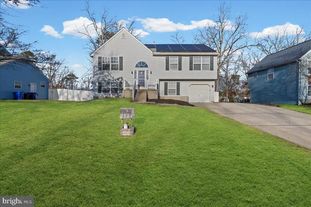 a view of yard with tree in it
