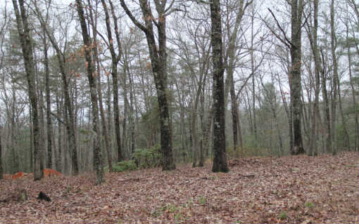 275 Jones Road Epworth, GA 30541 - Photo 1 of 1 Main View