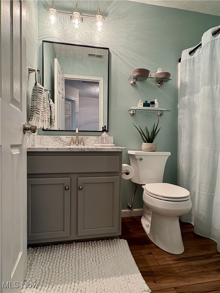 4156 Whitestone Road Kent, OH 44240 - Photo 20 of 28 Bathroom featuring wood finished floors, vanity, toilet, baseboards, and a shower with shower curtain