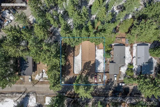 a view of a city with lush green forest