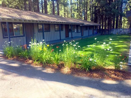 a view of a backyard with plants