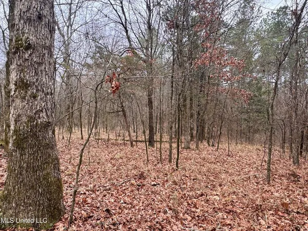 $17,000 | 154 County Road 154, Tillatoba, MS 38961