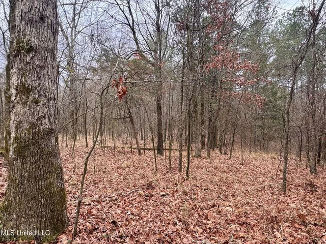 $17,000 | 154 County Road 154, Tillatoba, MS 38961