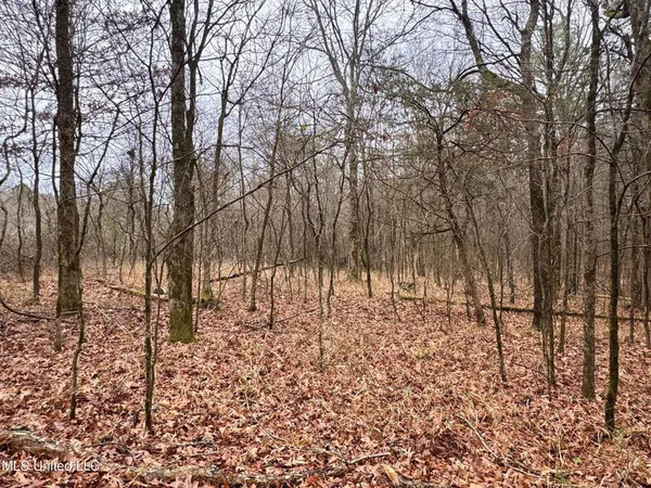 $17,000 | 154 County Road 154, Tillatoba, MS 38961