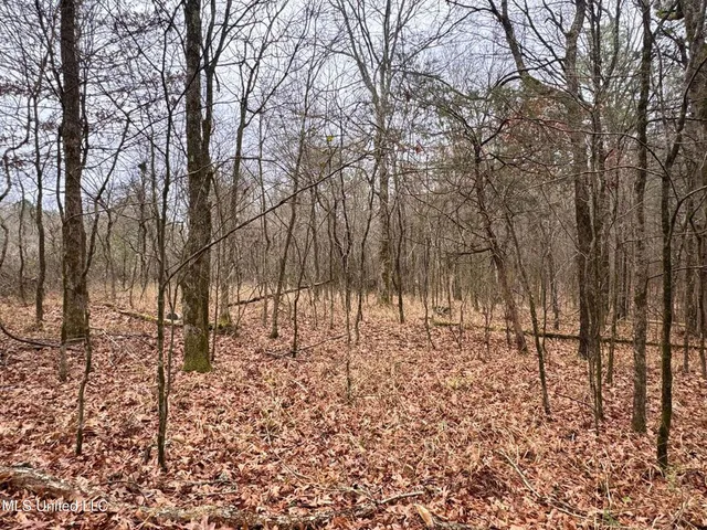 $17,000 | 154 County Road 154, Tillatoba, MS 38961