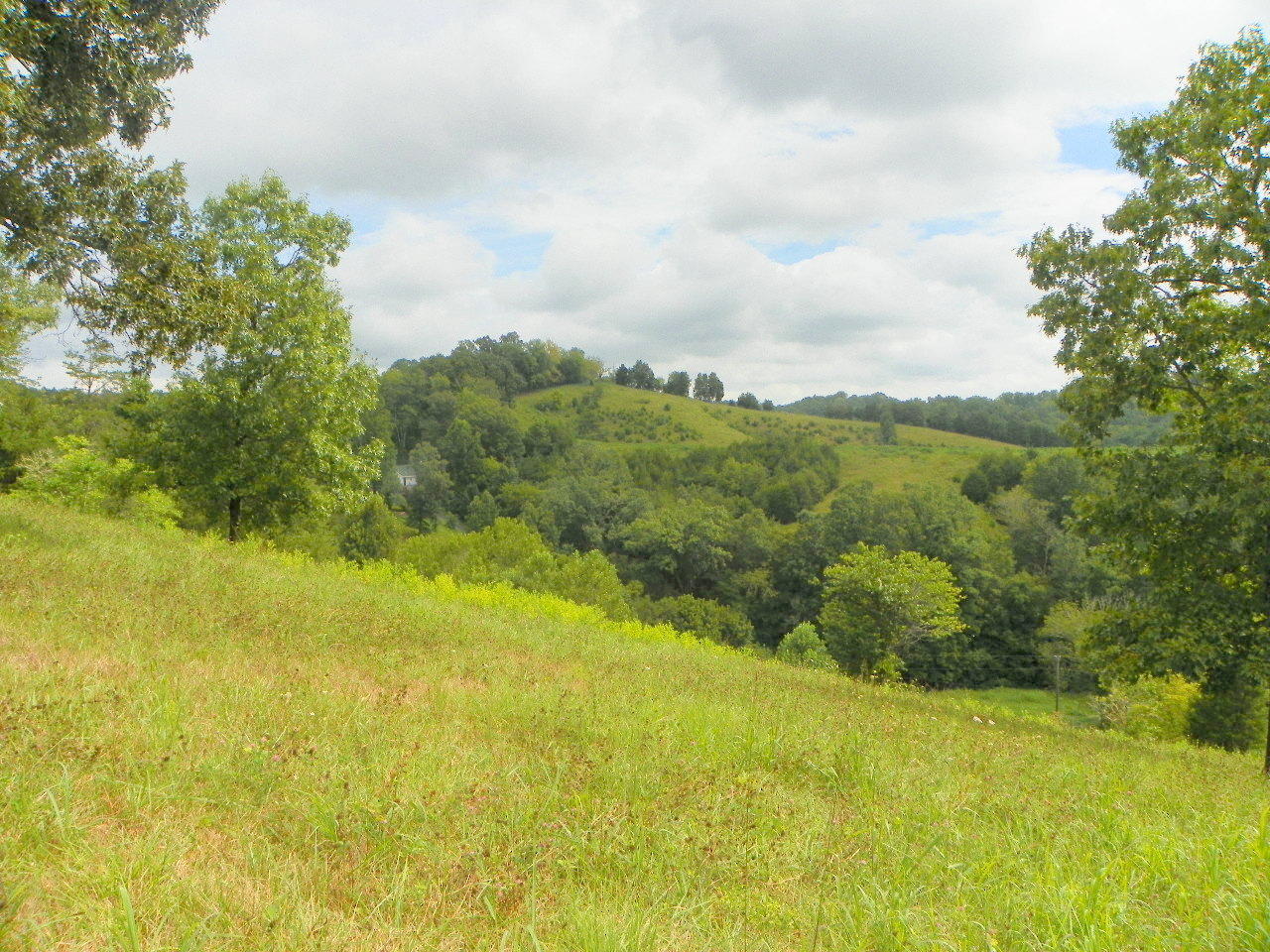 340 Lane Hollow Road Sevierville, TN 37876 - Photo 34 of 36 102_1792