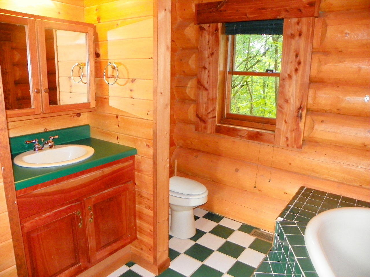 340 Lane Hollow Road Sevierville, TN 37876 - Photo 9 of 36 102_1678