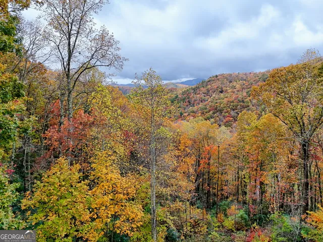 $400,000 | 78 Natural Bridge Road, Scaly Mountain, NC 28775