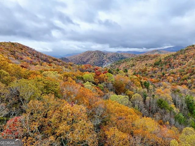 $400,000 | 78 Natural Bridge Road, Scaly Mountain, NC 28775