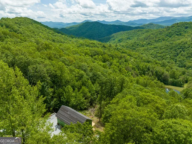 a backyard of a house with lots of green space and mountain view in back