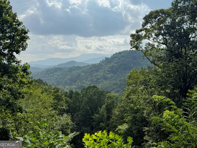 a view of a yard with a pathway