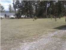 291 Rock Creek Road Dunlap, TN 37327 - Photo 8 of 8 Additional Photo