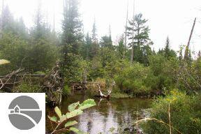4117 Park Road Luzerne, MI 48636 - Photo 2 of 3 1756334-1.JPG