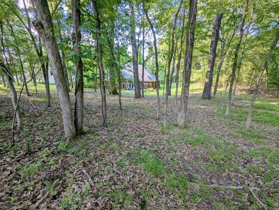 12525 Walnut Grove Road Collierville, TN 38017 - Photo 36 of 40