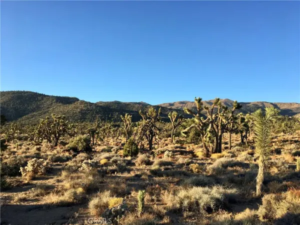 $55,000 | 26 Vista Pioneertown Ca, Pioneertown, CA 92268