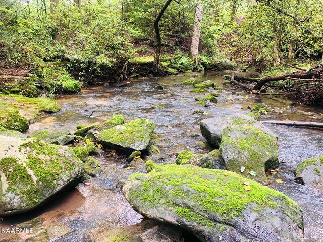 184 Old Wilder Road Grimsley, TN 38565 - Photo 14 of 34 more creek 5