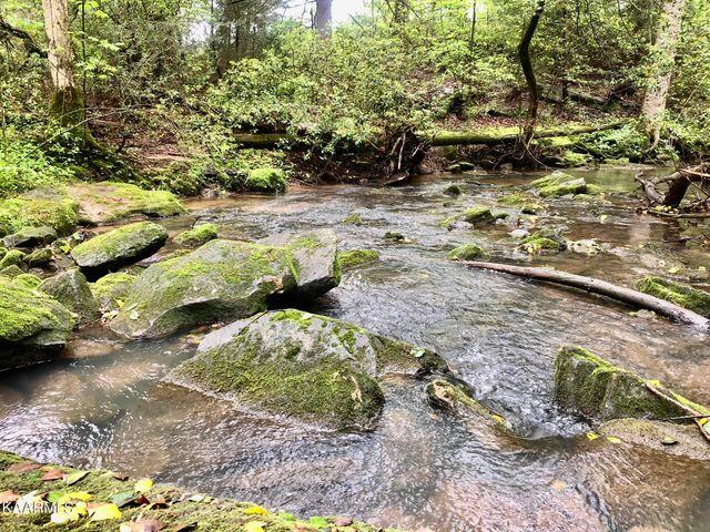 184 Old Wilder Road Grimsley, TN 38565 - Photo 15 of 34 more creek 6