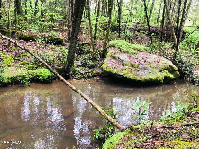 184 Old Wilder Road Grimsley, TN 38565 - Photo 16 of 34 more creek 7