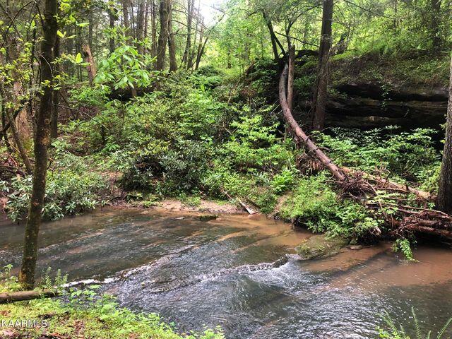 184 Old Wilder Road Grimsley, TN 38565 - Photo 18 of 34 more creek 9