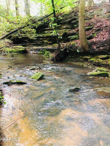 184 Old Wilder Road Grimsley, TN 38565 - Photo 19 of 34 more creek