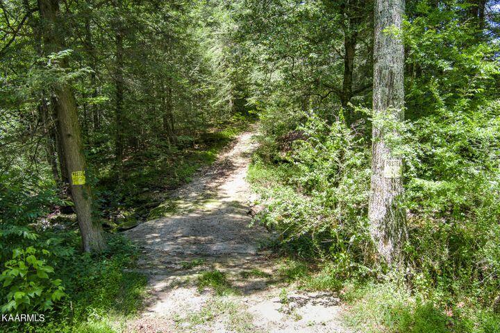 184 Old Wilder Road Grimsley, TN 38565 - Photo 22 of 34 more rd 2