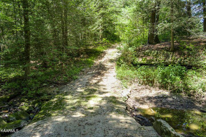 184 Old Wilder Road Grimsley, TN 38565 - Photo 23 of 34 more rd 3