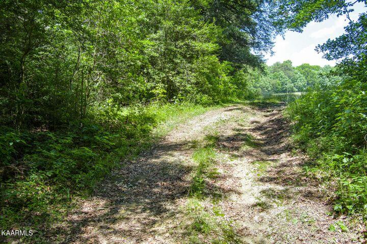 184 Old Wilder Road Grimsley, TN 38565 - Photo 25 of 34 more road 2