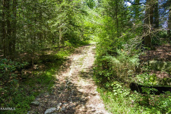 184 Old Wilder Road Grimsley, TN 38565 - Photo 26 of 34 More road