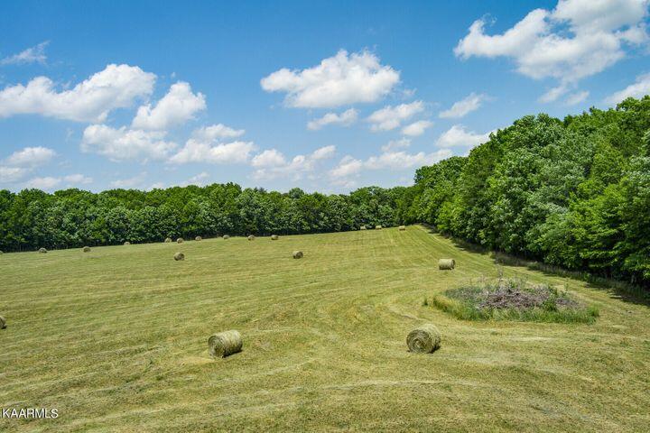 184 Old Wilder Road Grimsley, TN 38565 - Photo 27 of 34 More