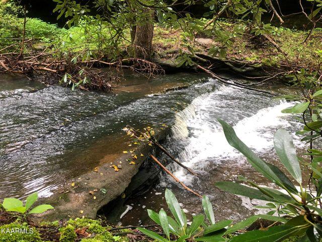 184 Old Wilder Road Grimsley, TN 38565 - Photo 29 of 34 rapids