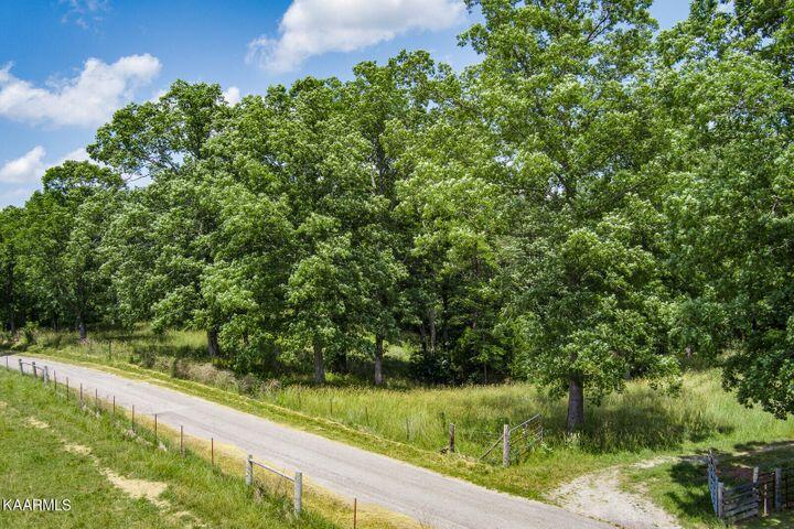 184 Old Wilder Road Grimsley, TN 38565 - Photo 30 of 34 Road