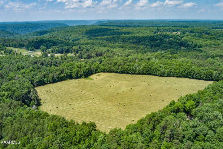 184 Old Wilder Road Grimsley, TN 38565 - Photo 3 of 34 Aerial 3