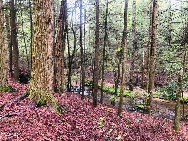 184 Old Wilder Road Grimsley, TN 38565 - Photo 33 of 34 wooded