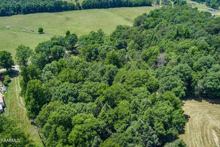 184 Old Wilder Road Grimsley, TN 38565 - Photo 34 of 34 Woods