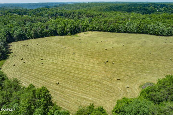 184 Old Wilder Road Grimsley, TN 38565 - Photo 4 of 34 Aerial