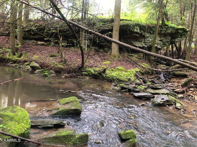 184 Old Wilder Road Grimsley, TN 38565 - Photo 5 of 34 Creek