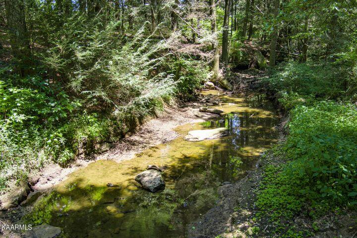 184 Old Wilder Road Grimsley, TN 38565 - Photo 6 of 34 dry