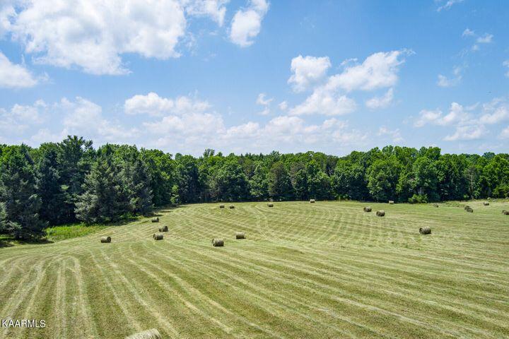 184 Old Wilder Road Grimsley, TN 38565 - Photo 10 of 34 Main