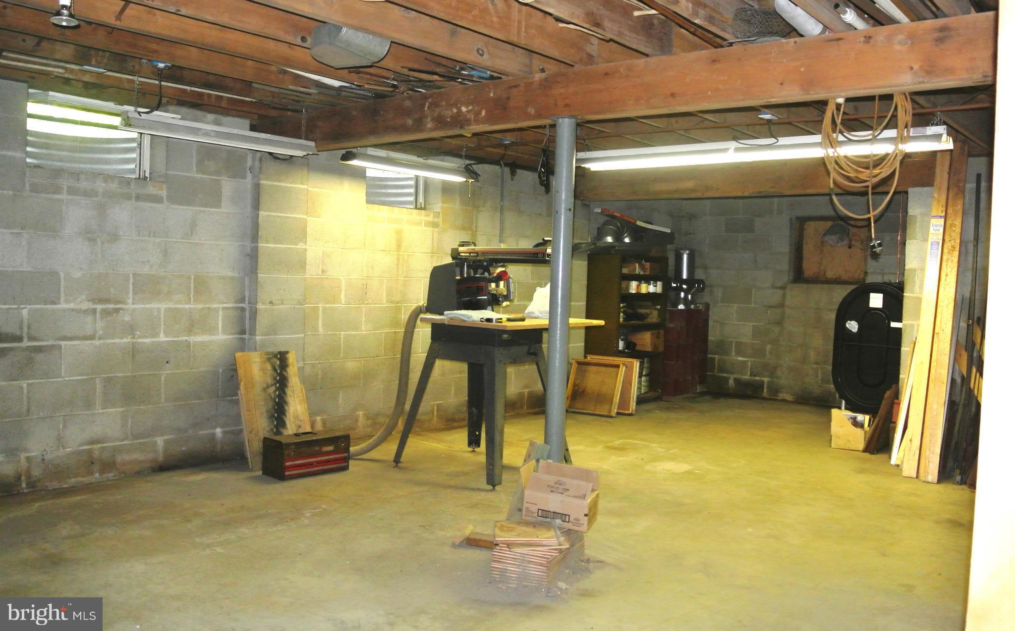 12408 Clark Road Worton, MD 21678 - Photo 19 of 21 Basement