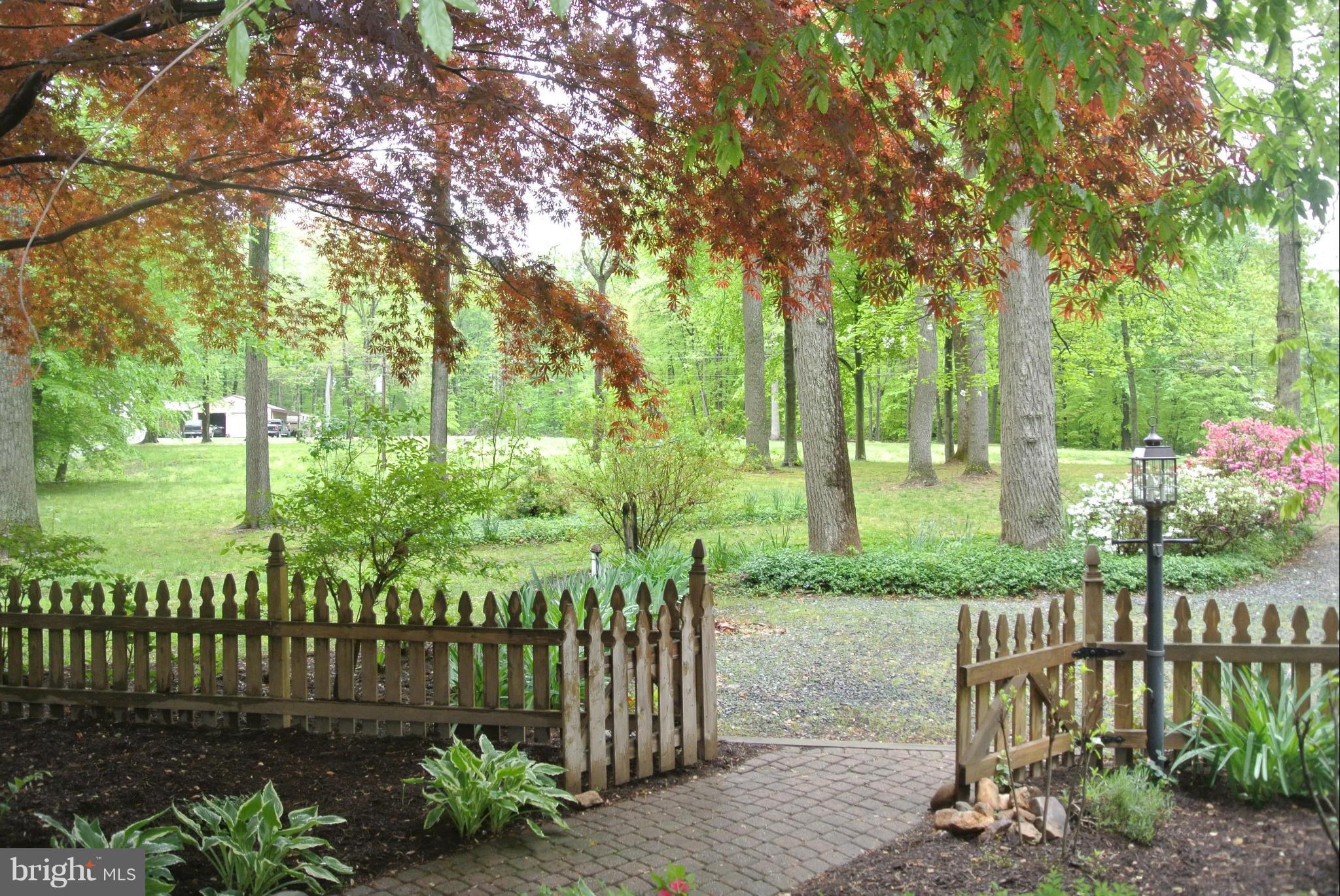 12408 Clark Road Worton, MD 21678 - Photo 4 of 21 View from Front Porch