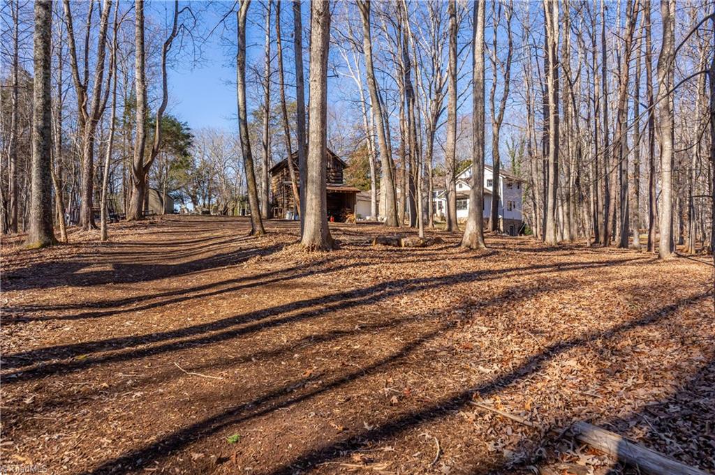 7042 Brookbank Road Summerfield, NC 27358 - Photo 49 of 50 A newly cleared walking trail!