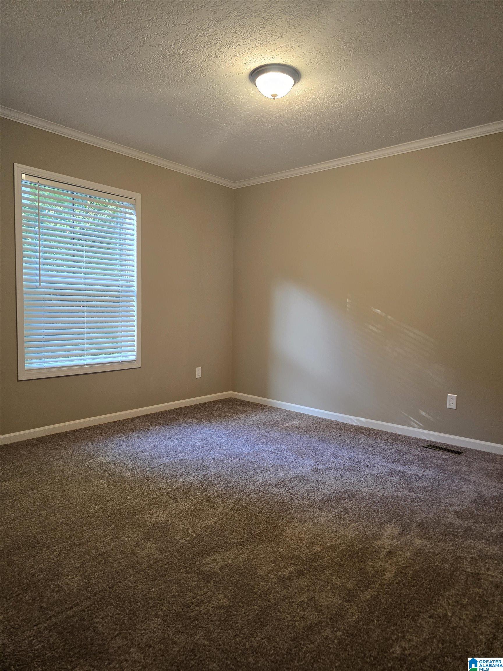 25 McGinnis Street Springville, AL 35146 - Photo 9 of 10