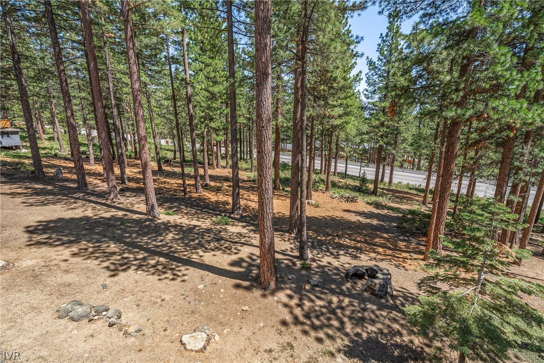 719 Tyner Way Incline Village, NV 89451 - Photo 49 of 50