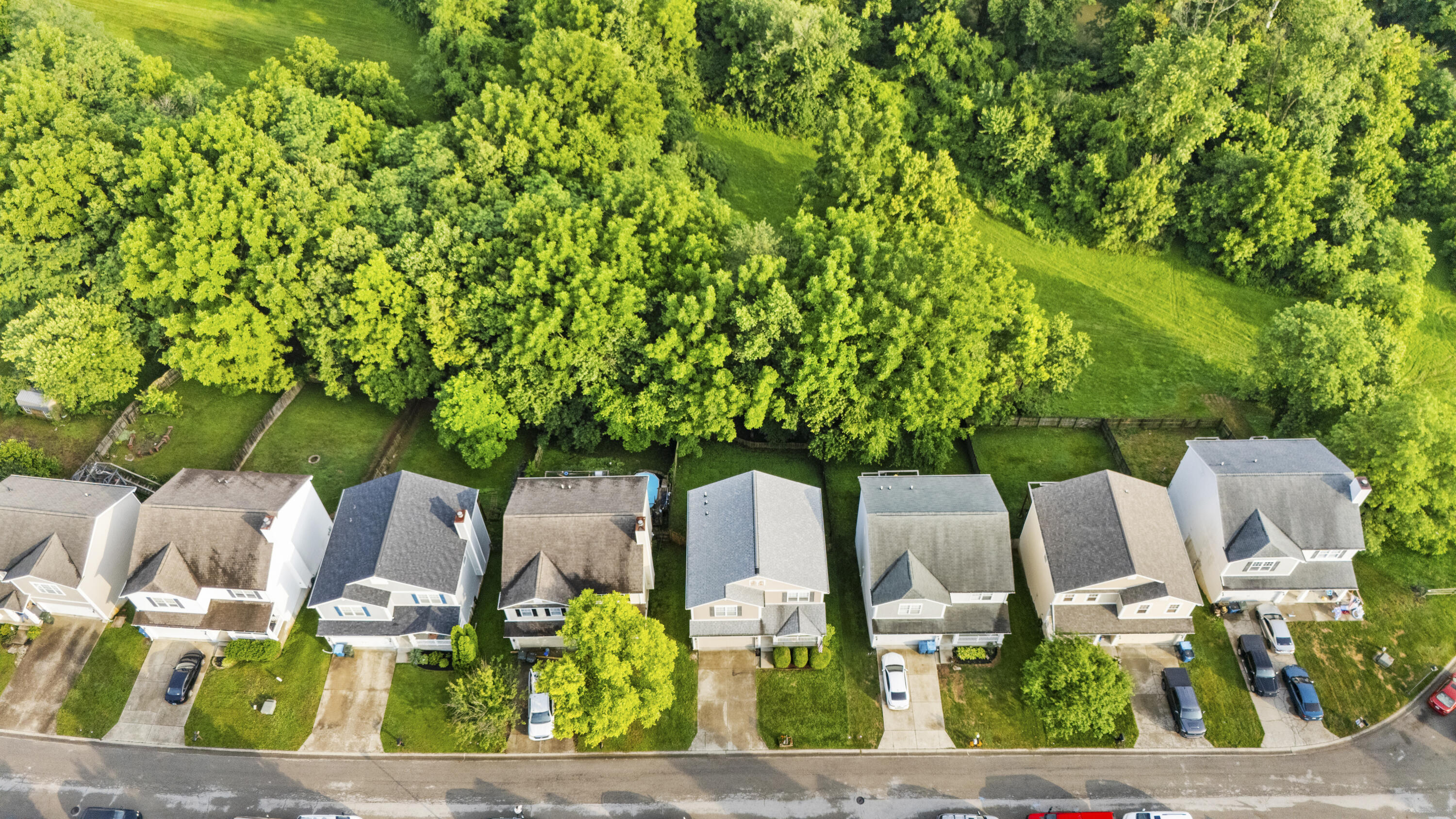 141 Meadow View Way Georgetown, KY 40324 - Photo 7 of 48 DJI_20260609191634_0115_D