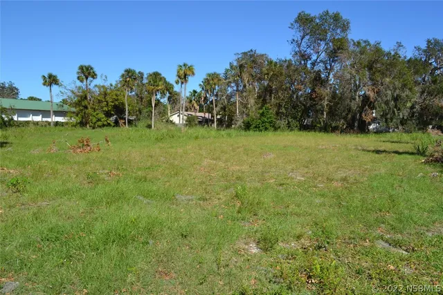 a view of a field of grass and trees