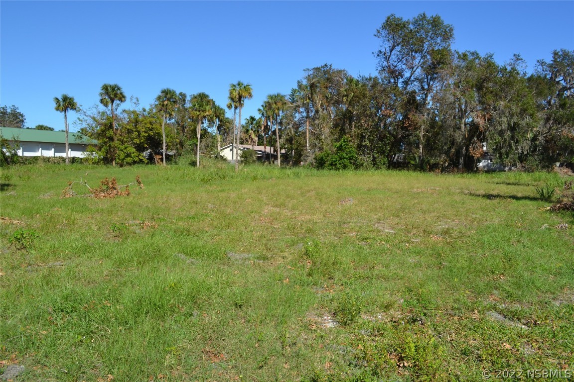 a view of a field of grass and trees