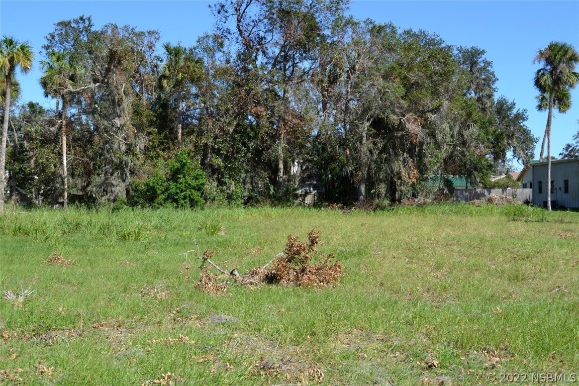 511 North Ridgewood Avenue Edgewater, FL 32132 - Photo 2 of 6 a view of a green field with lots of bushes