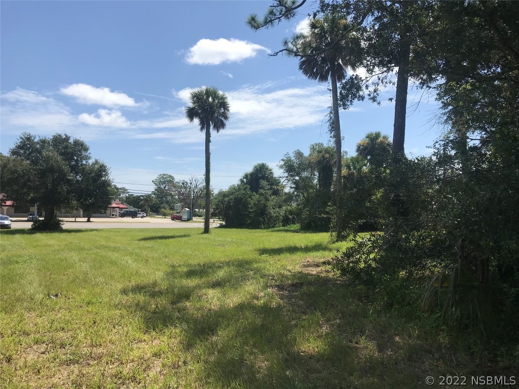 511 North Ridgewood Avenue Edgewater, FL 32132 - Photo 3 of 6 a view of a big yard with a large tree