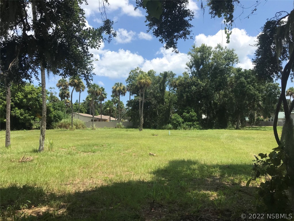 511 North Ridgewood Avenue Edgewater, FL 32132 - Photo 6 of 6 a view of an outdoor space and yard